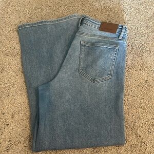 HIDDEN Nori Wide Leg Jeans 👖